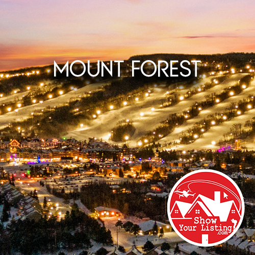 Aerial view of Mount Forest, Ontario showcasing affordable living, charming homes, and real estate opportunities, ideal for investment in this growing small town community.